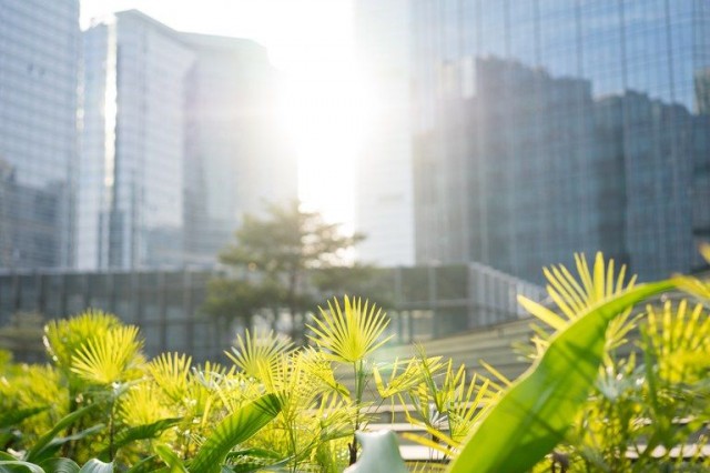 MCTI quer descarbonizar construção civil por meio de edifícios com zero emissão de CO2