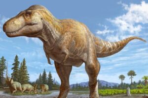 Maior e mais forte: conheça o parente recém-descoberto do tiranossauro rex