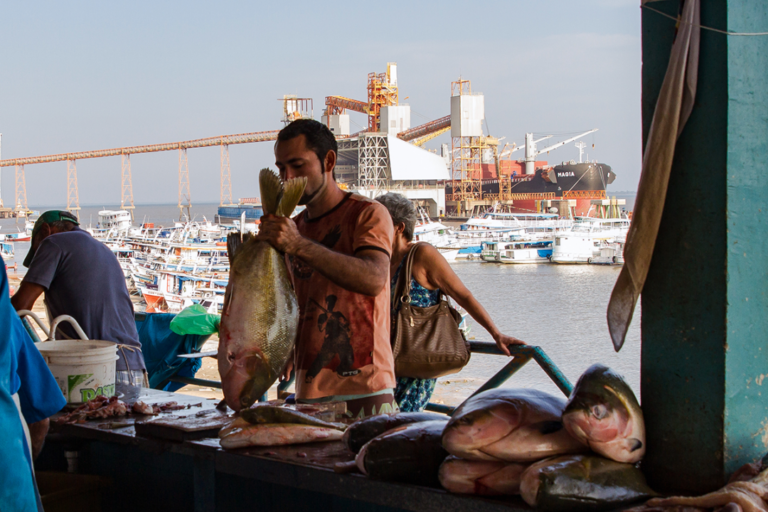 Mais de 51 milhões de toneladas de grãos foram exportados pelos portos amazônicos em 2023