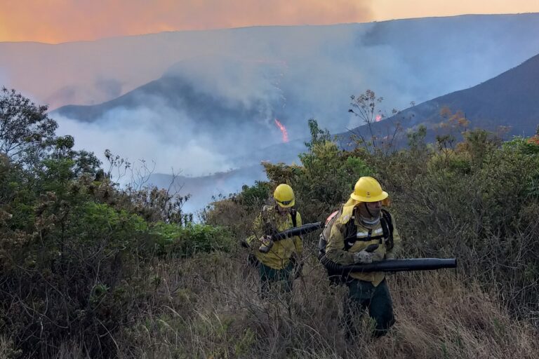 Mapeamento inédito identifica cerca de 200 brigadas voluntárias no país