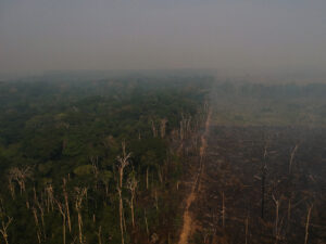 Militares foram mais caros e menos eficientes contra desmate na Amazônia