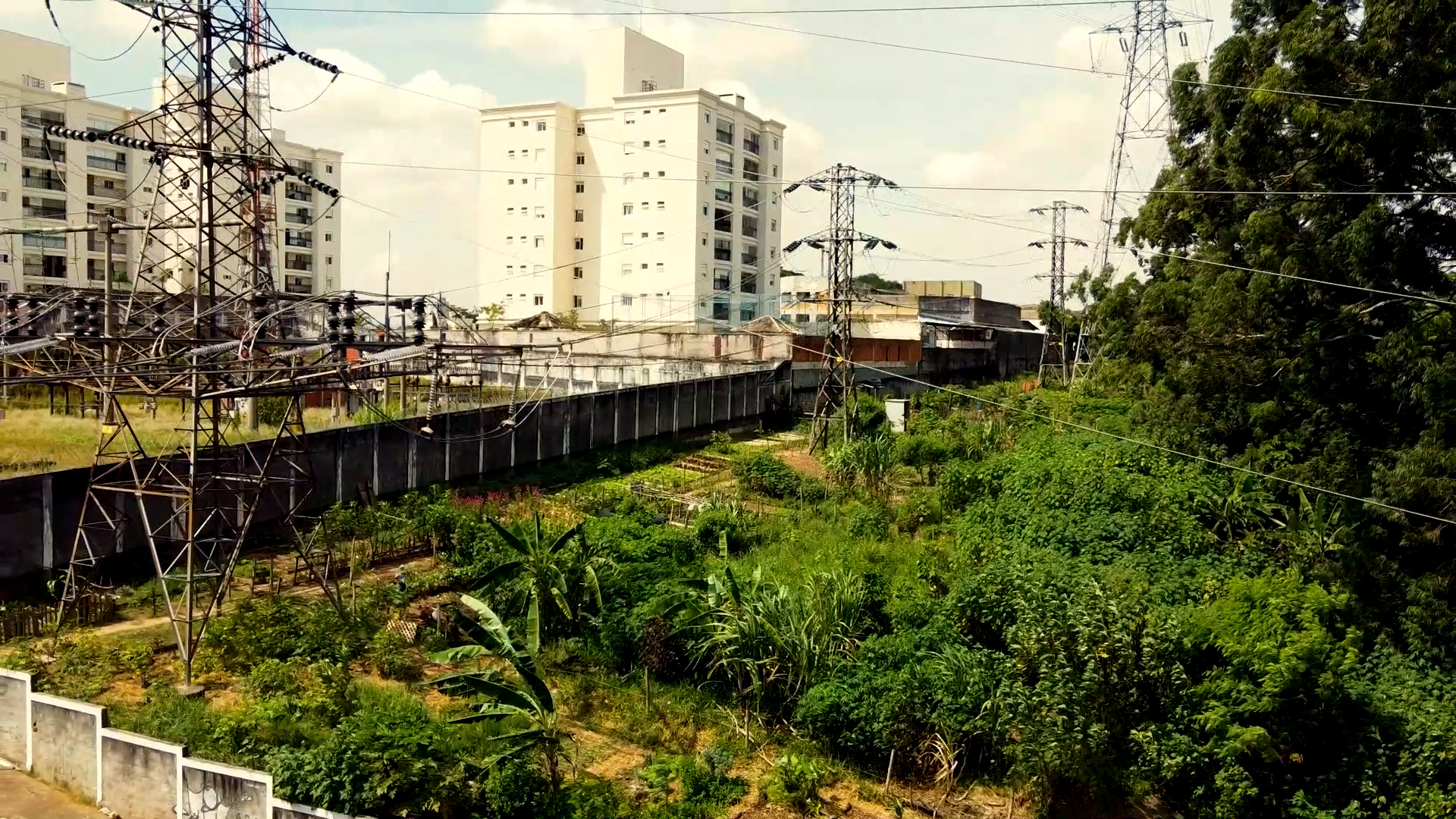 Multifacetadas, hortas urbanas de São Paulo contribuem para a saúde ambiental da cidade