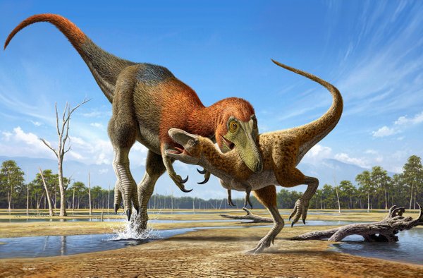 Novo estudo controverso diz que 'T-Rex adolescente' é de uma espécie totalmente nova