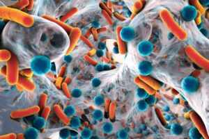 Novo polímero pode ser a solução para combater a resistência das superbactérias