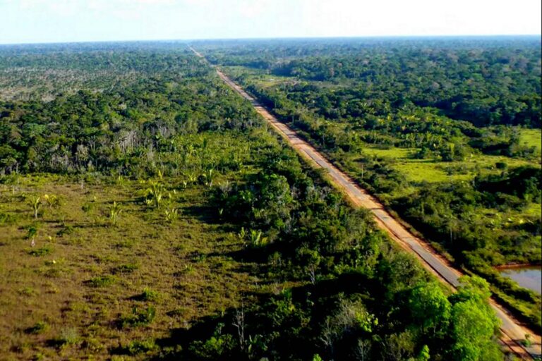 “Precisamos conseguir a licença” para pavimentar BR-319, diz número 2 do Ministério dos Transportes