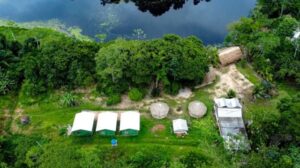 Produtores rurais no Acre são remunerados por conservar a floresta