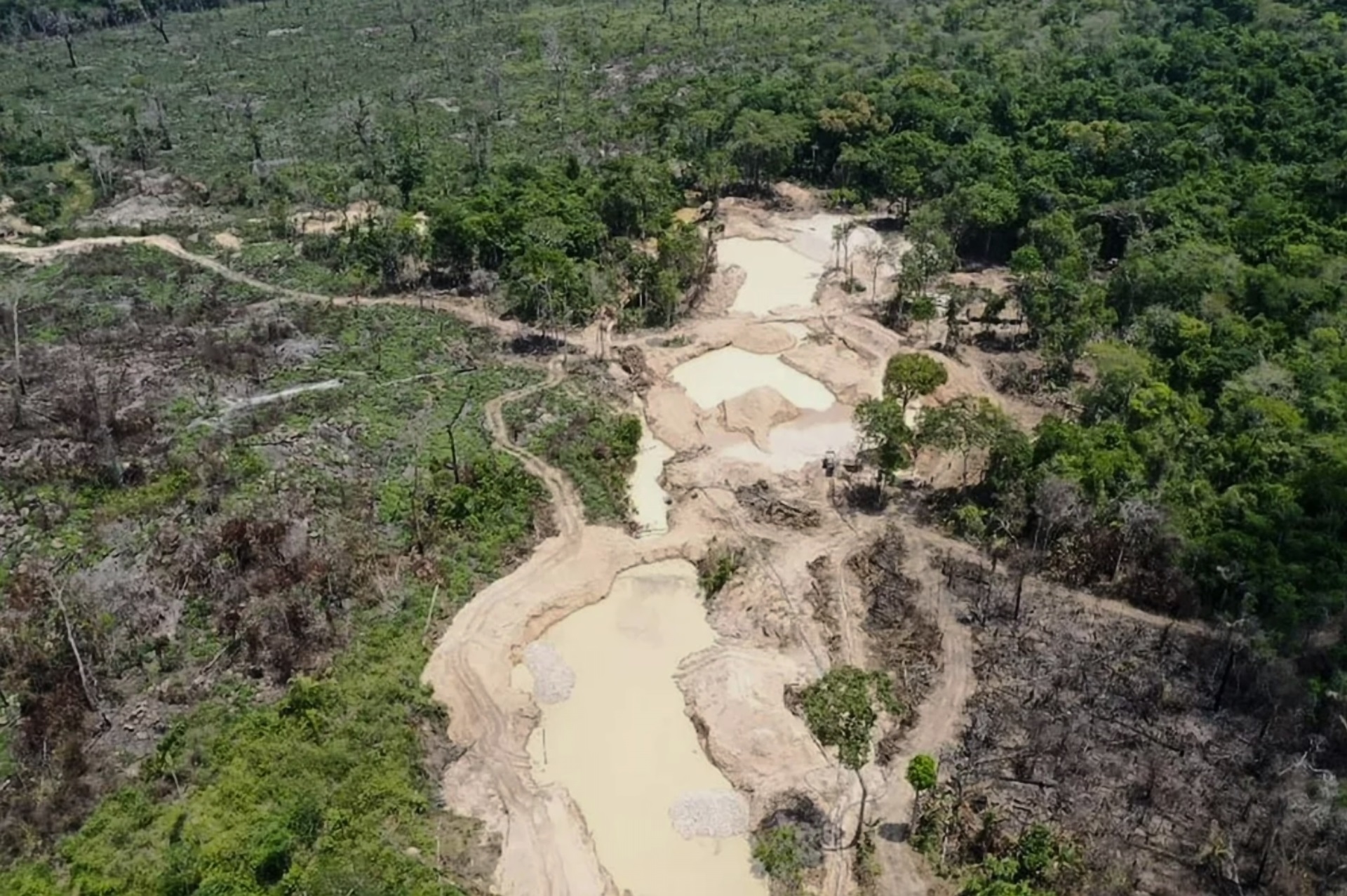 Desmate em áreas protegidas na Amazônia cai quatro vezes