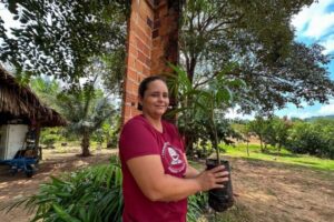 Sistemas Agroflorestais impulsionam produção agrícola em município do sudeste paraense