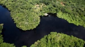 Taxa de desmatamento na Amazônia Legal teve redução de 22,37%, aponta Inpe