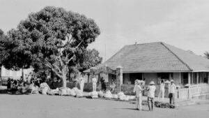 A paixão amazônica (3) - Amazônia Real