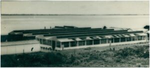 A paixão amazônica (4) - Amazônia Real