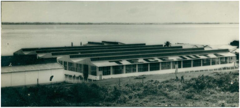 A paixão amazônica (4) - Amazônia Real