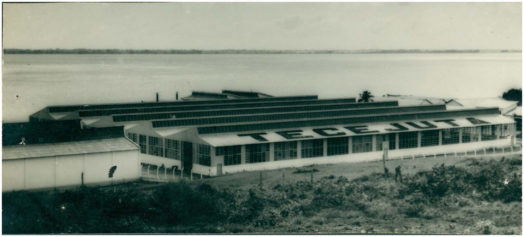 A paixão amazônica (4) – Amazônia Real