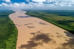 Com manguezais, corais e terras indígenas, litoral no Amapá é centro de discussão sobre exploração de petróleo