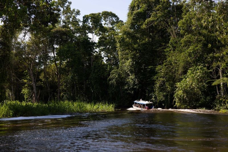 Curso visa formar líderes engajados no combate ao desmatamento na Amazônia