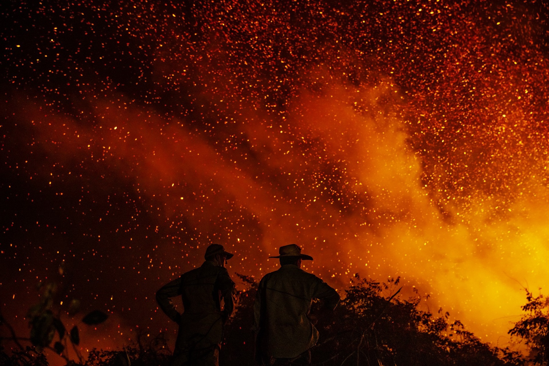 Exposição de fotografias do Pantanal arrecada recursos para as Brigadas Pantaneiras