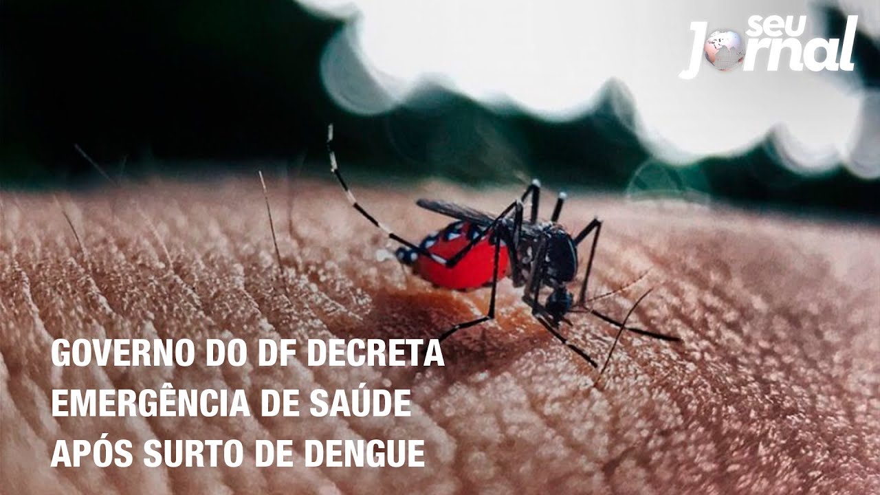 Governo do DF decreta emergência de saúde após surto de dengue