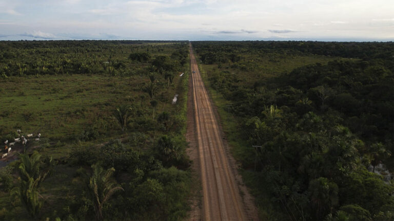 Impacto simulado da BR-319–2: Área de estudo