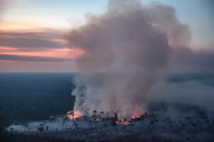 Janeiro mais quente da História: Brasil e mundo não estão preparados para a crise climática