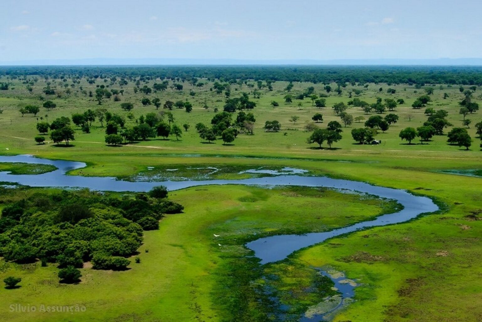 MS: lei do Pantanal entra em cena com seca histórica do Rio Paraguai