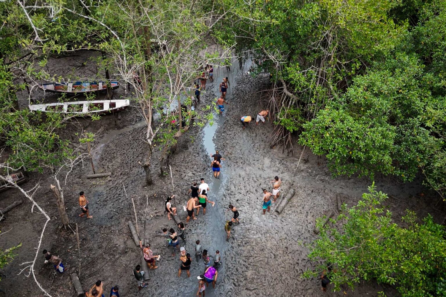 Na Amazônia, bloco de Carnaval reúne milhares de foliões no manguezal