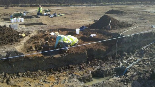 Ovo de 1.700 anos ainda possui líquido em seu interior, aponta análise