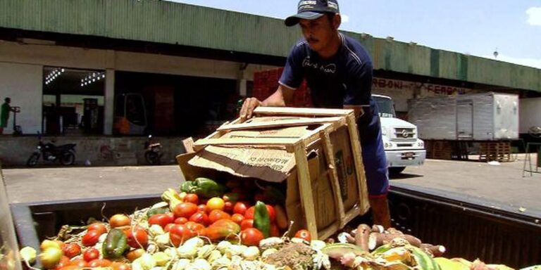 Pesquisa traz dicas sobre como reduzir desperdício de alimentos