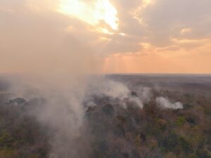 Queimadas na Amazônia atingem número recorde em fevereiro