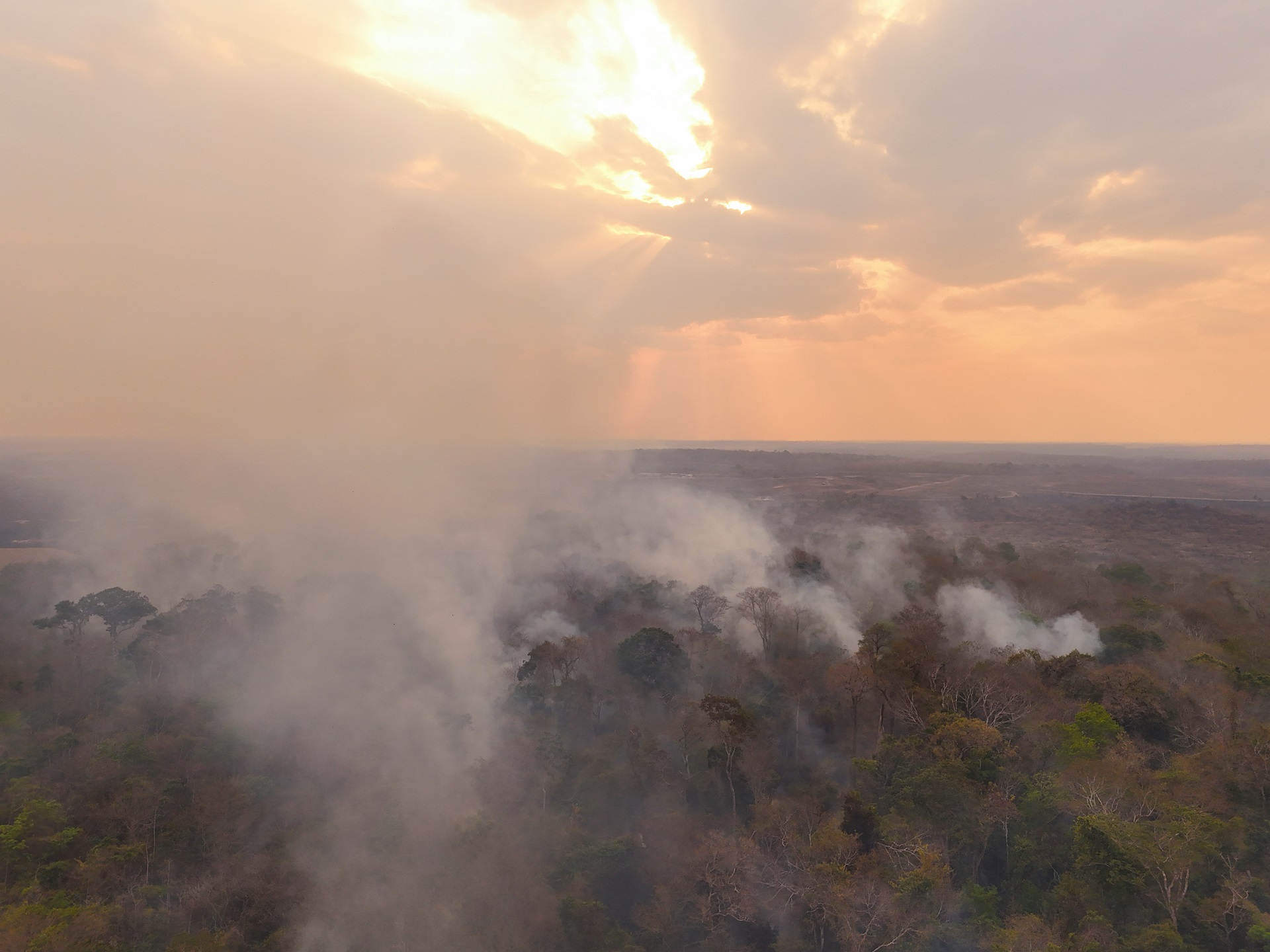 Queimadas na Amazônia atingem número recorde em fevereiro