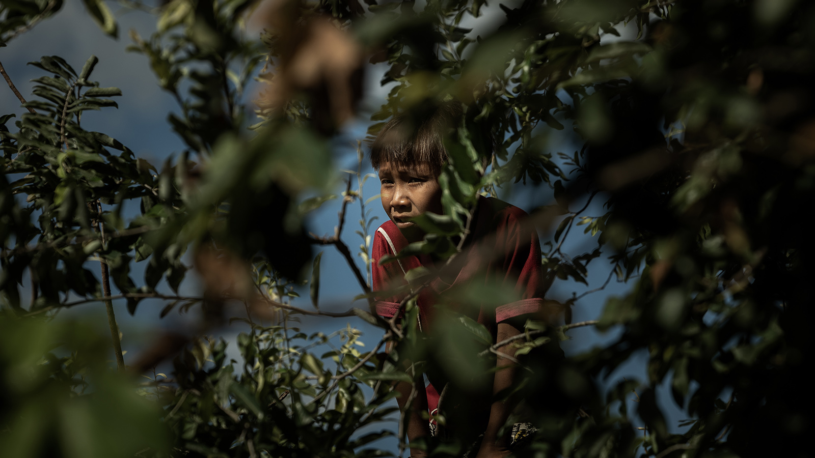 Raphael Alves exibirá fotografias da crise Yanomami em Londres