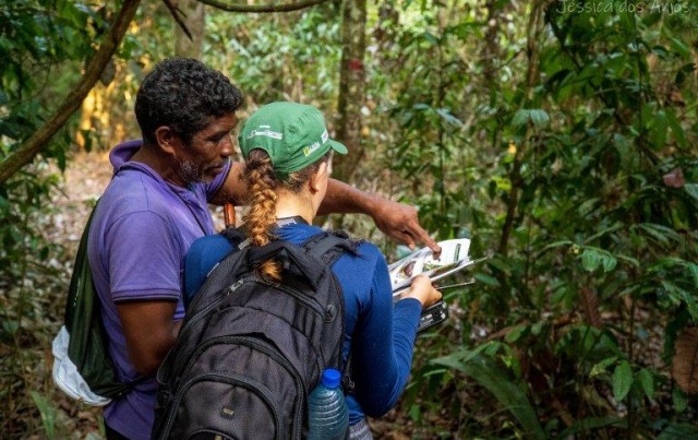 Roteiros são disponibilizados pelo ICMBio para monitoramento da biodiversidade de áreas com Manejo Florestal