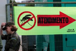 Saúde, meio ambiente, políticas públicas: a dengue mostra que está tudo interligado