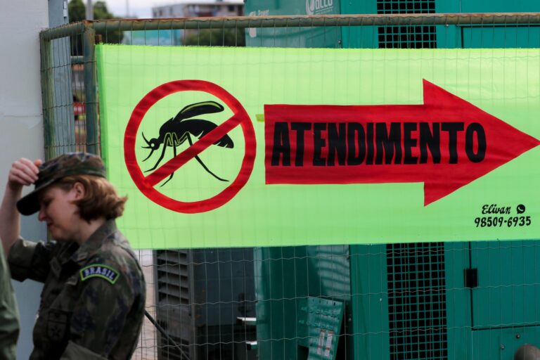 Saúde, meio ambiente, políticas públicas: a dengue mostra que está tudo interligado