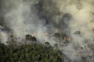 Seca extrema na Amazônia em 2023 fez queimadas aumentarem 35%