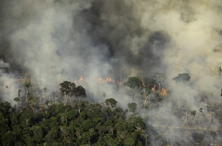 Seca extrema na Amazônia em 2023 fez queimadas aumentarem 35%