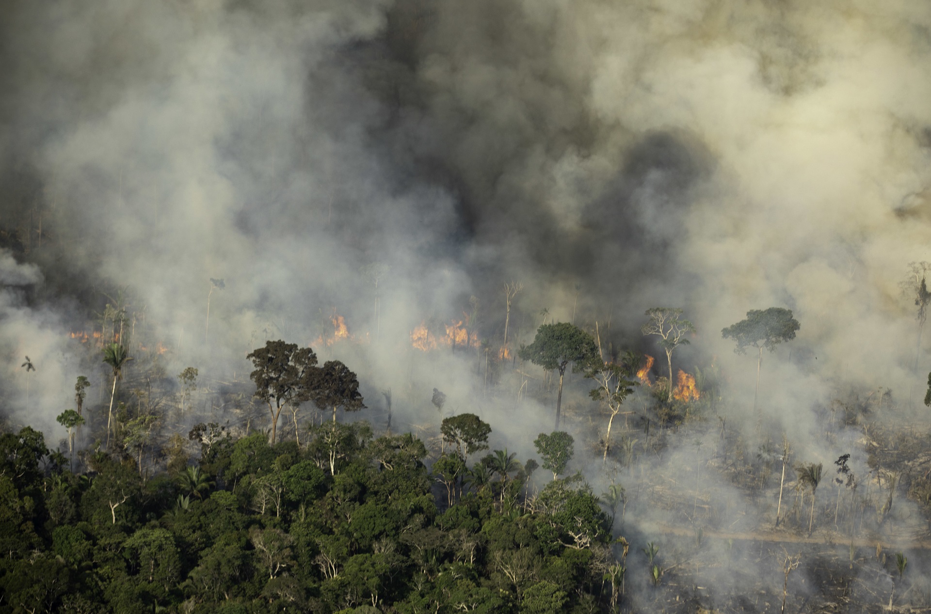 Seca extrema na Amazônia em 2023 fez queimadas aumentarem 35%
