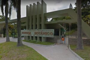 Sem a Fundação Zoobotânica, RS completa 10 anos sem divulgar lista de espécies ameaçadas