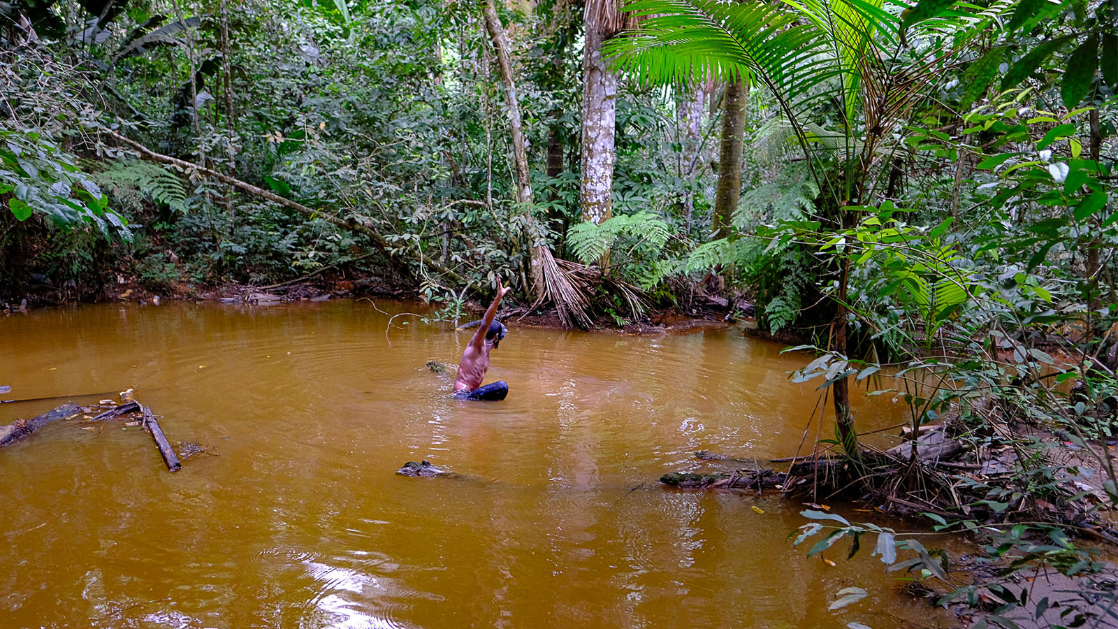 Último igarapé vivo de Manaus está ameaçado