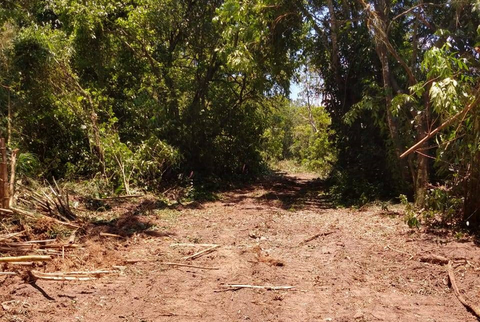 Vereador de Magé (RJ) diz que INEA liberou estrada contestada, mas órgão ambiental nega