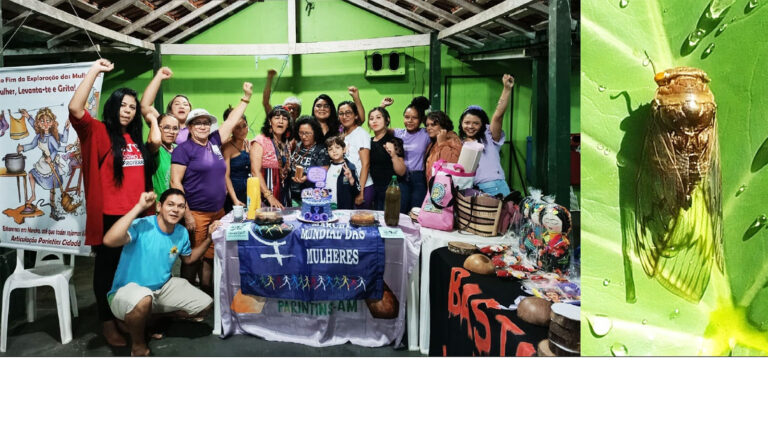 Acordes por Libertação - Amazônia Real