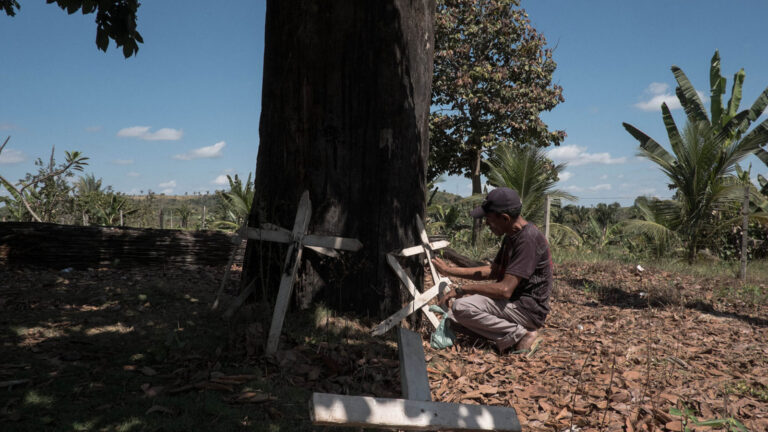 Amazônia: fronteira do caos - Amazônia Real
