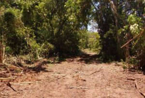 Após tentar reabrir estrada sem licenças, prefeitura de Magé (RJ) ignora autoridades