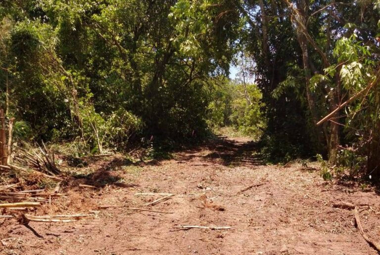 Após tentar reabrir estrada sem licenças, prefeitura de Magé (RJ) ignora autoridades