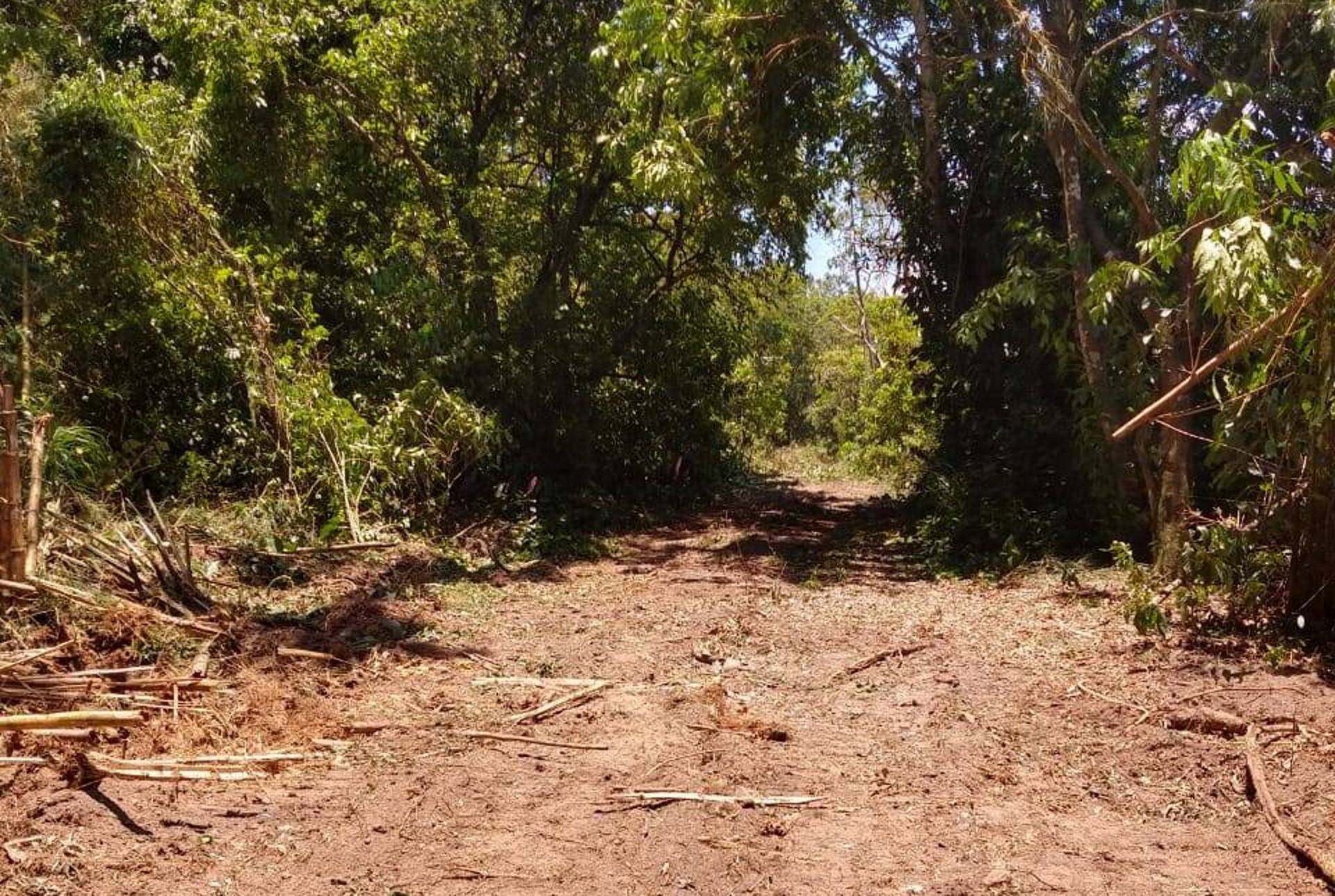 Após tentar reabrir estrada sem licenças, prefeitura de Magé (RJ) ignora autoridades