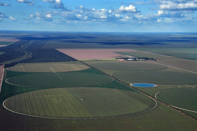 Descontrole na gestão do desmatamento legal no Matopiba coloca Cerrado em risco