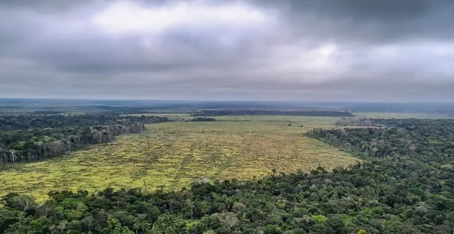 Desmatamento na Amazônia atinge menor taxa dos últimos seis anos para o primeiro bimestre