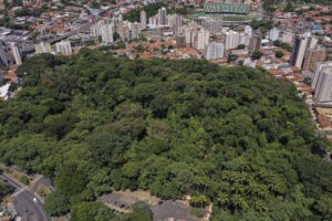 Dia do Conservacionismo: proteger o patrimônio natural é demanda crítica e emergencial