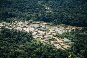 Em um ano, garimpo destruiu 1.400 hectares de floresta em três terras indígenas da Amazônia