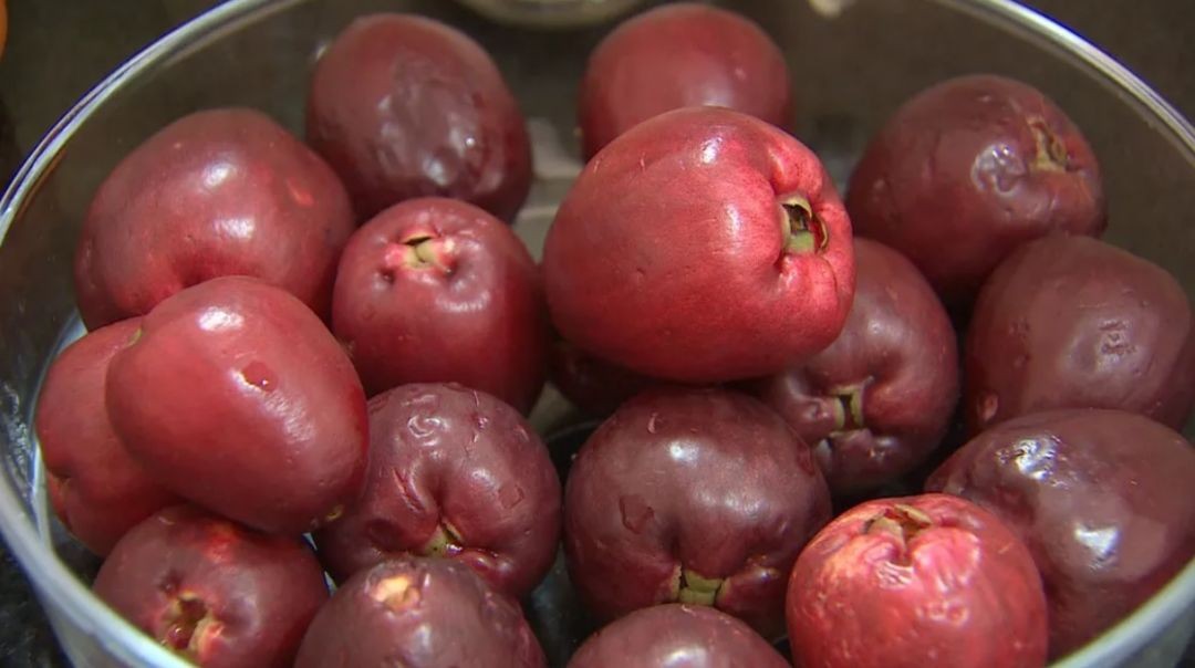 Época de jambo na região amazônica: saiba quais são os benefícios para a saúde