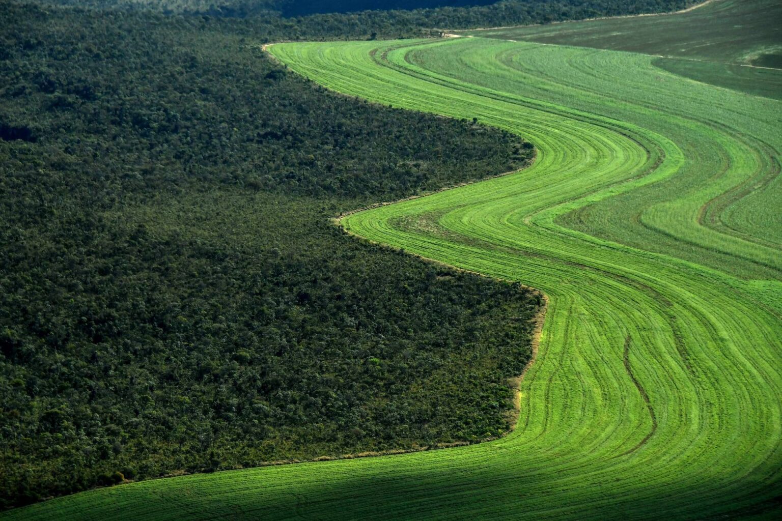 Estados inseridos no bioma Cerrado estudam unificação de dados sobre desmatamento